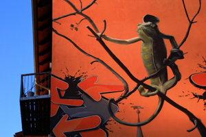 Graffiti - Galerie 05 Graffiti - Galerie 05