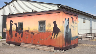 "mein Pferd" Gestaltung Container "mein Pferd" Gestaltung Container