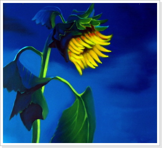 "Sonne nach dem Regen" "Sonne nach dem Regen"