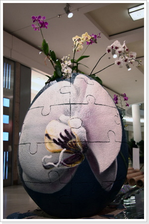 "Orchid-Ei" "Orchid-Ei"