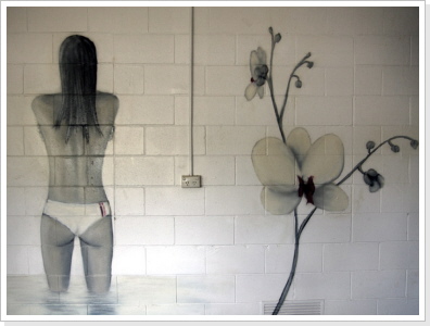 "Blick auf´s Mehr" Darwin / Australien "Blick auf´s Mehr" Wandgestaltung (innen)